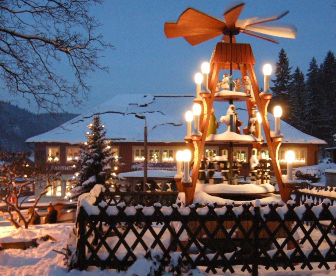 Villa Angelika Altenberg Екстер'єр фото