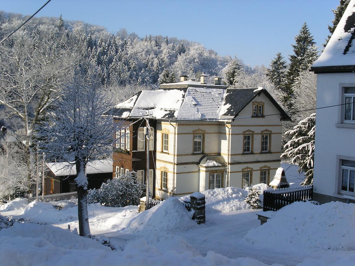 Villa Angelika Altenberg Екстер'єр фото