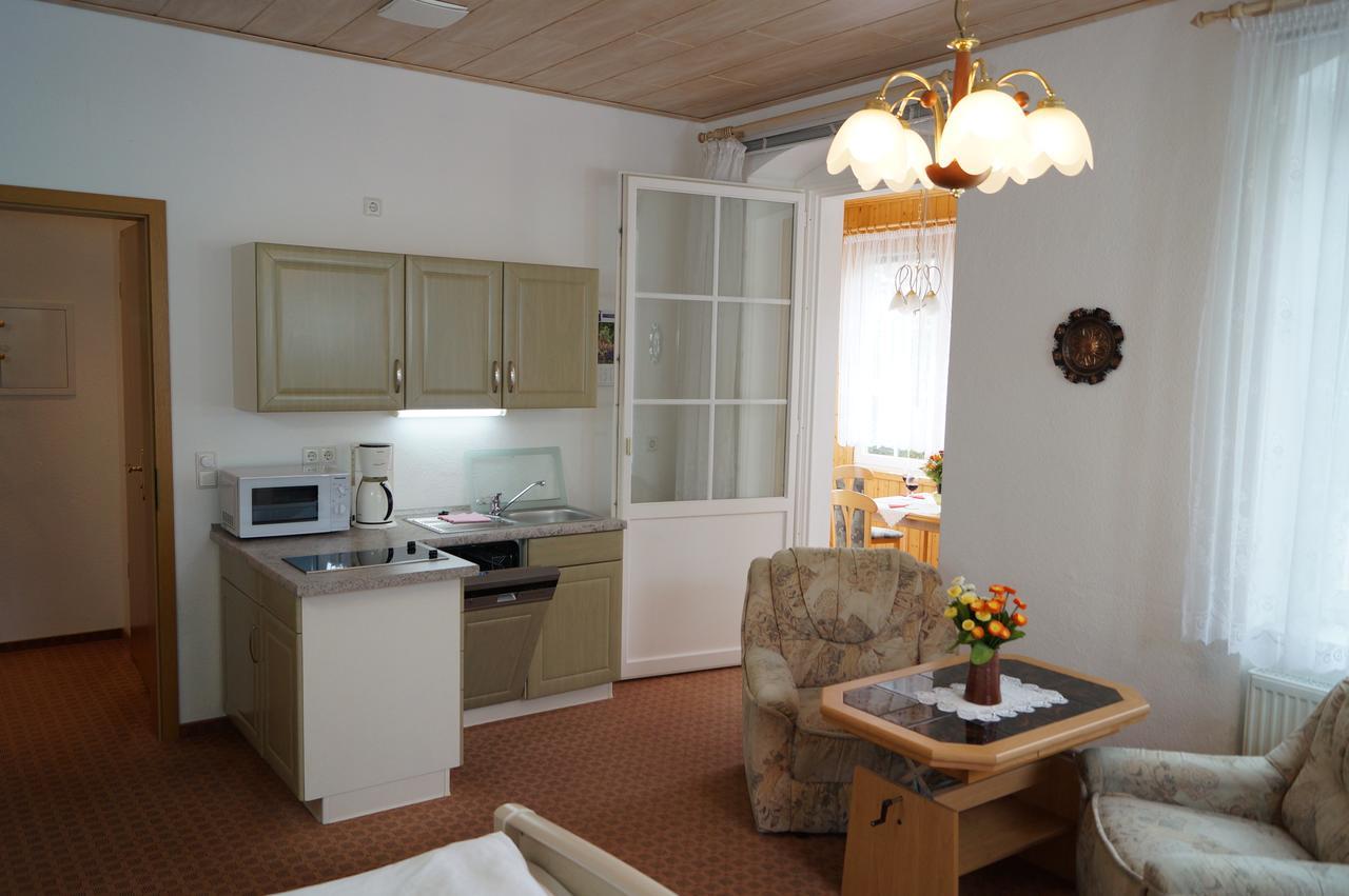 Villa Angelika Altenberg Екстер'єр фото