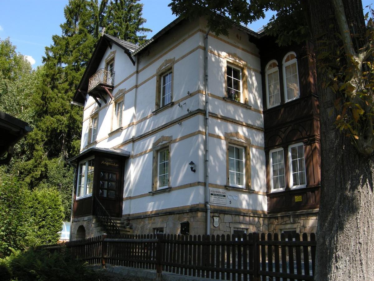 Villa Angelika Altenberg Екстер'єр фото